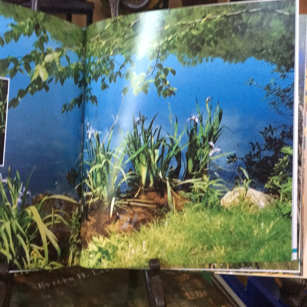 Coffee Table book of Photography by Evelyn Lauder “The Seasons Observed”. NWOT. - Picture 5 of 6